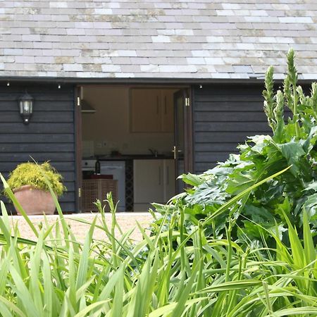 Five Cottages In Aonb Ashford  Exterior foto